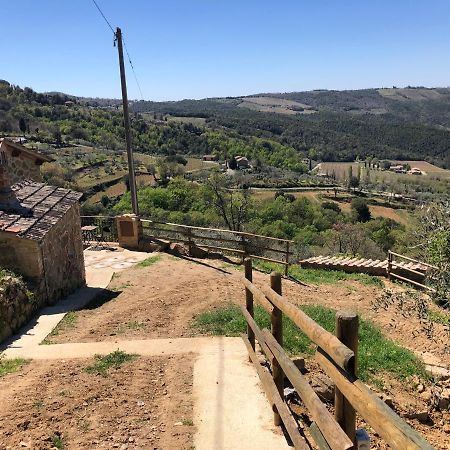 Podere Soccorso Casa Vigneto Монтальчино Экстерьер фото