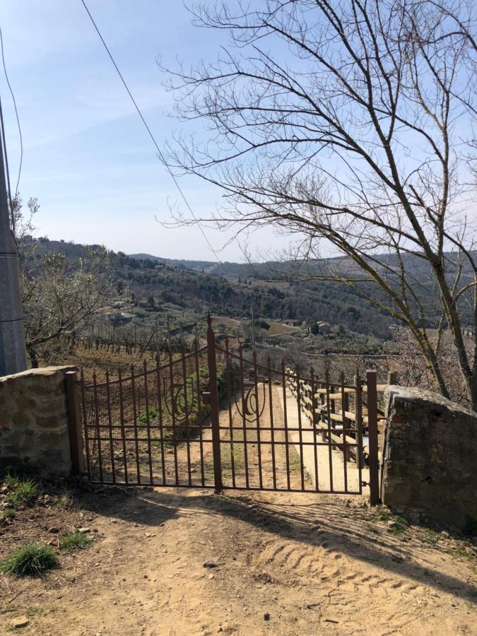Podere Soccorso Casa Vigneto Монтальчино Экстерьер фото
