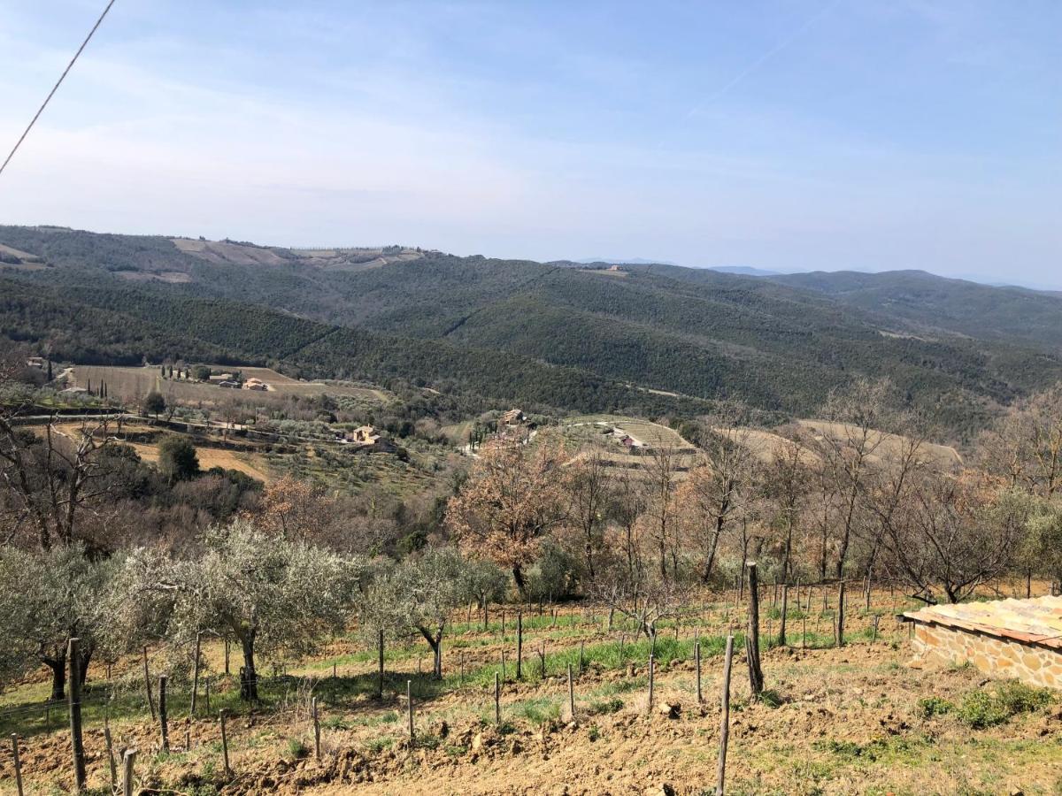 Podere Soccorso Casa Vigneto Монтальчино Экстерьер фото