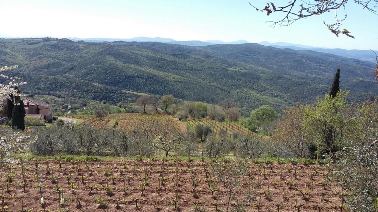 Podere Soccorso Casa Vigneto Монтальчино Экстерьер фото